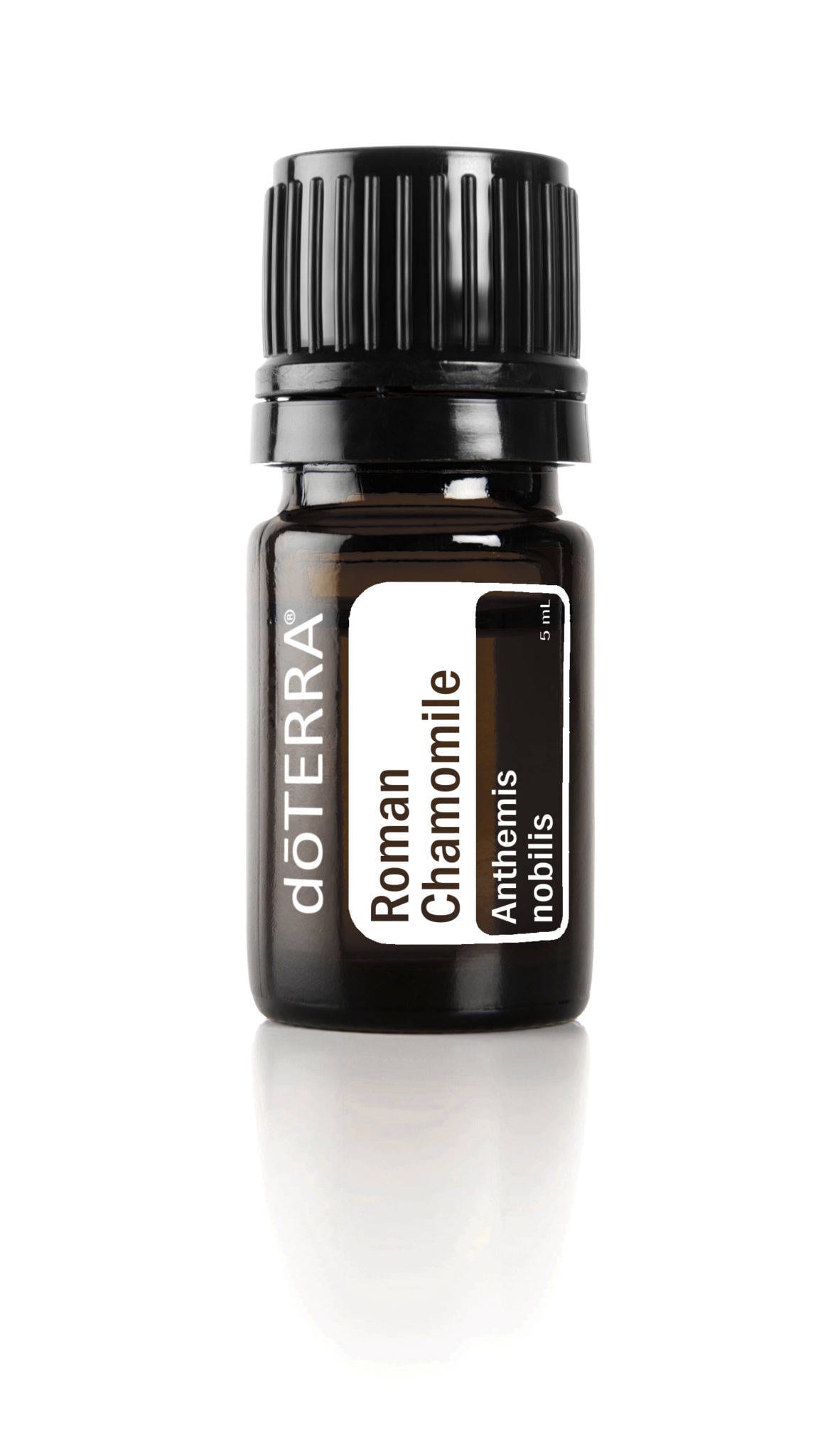 roman-chamomile-5ml